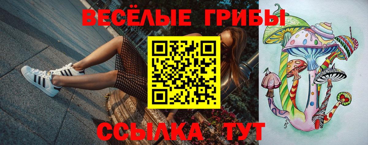 Галлюциногенные грибы Magic Shrooms  Галлюциногенные грибы мицелий  Вход с VPN  Дятьково 